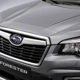 beschermfolie motorkap subaru forester e-boxer